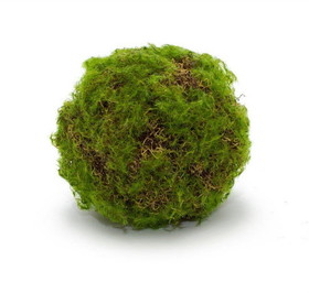Melrose 82634DS Moss Ball (Set of 4) 4.75"D Plastic