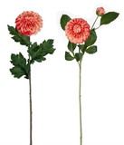 Melrose 82749DS Dahlia (Set of 4) 24