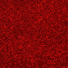 Mojotone Red Sparkle Tolex / 55" W