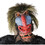 Morris Costumes 7005BS Adult's Baboon Mask