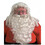 Morris Costumes AE60 Santa Wig And Beard Set