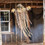 43 1/4" x 70 3/4" Light-Up Hanging Skeleton Scarecrow Halloween Decoration