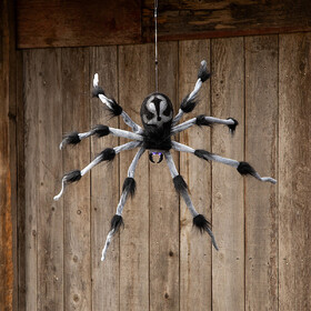ATC ATC00085 31 1/2" Gray and Black Hairy Floating Spider Hanging Halloween Decoration
