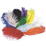 Morris Costumes BB-05GR Ostrich Plumes Green