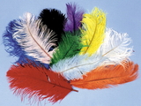 Morris Costumes BB-05OR Ostrich Plumes Orange