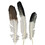 Morris Costumes BB08 Eagle Tip Feather