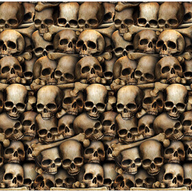 Morris Costumes BG00916 Catacombs Skull Plastic Backdrop