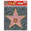 Beistle Co BG55328 Star Peel N Place Wall Cling