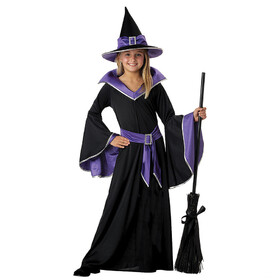 California Costumes Girl's Incantasia Glamour Witch Costume