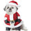 California Costumes CC20131LG Santa Paws Dog Costume - Large