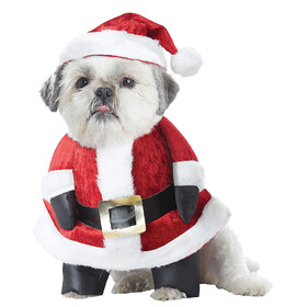 California Costumes Santa Paws Dog Costume