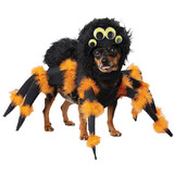 California Costumes Spider Pup Dog Costume