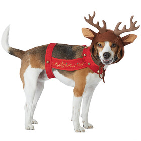 California Costumes CC-20155MD Reindeer Dog Md