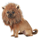 California Costumes CCPET20166 King Of Jungle Dog Costume