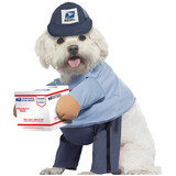 California Costumes CCPET20170 US Mail Carrier Dog Costume