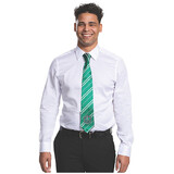 Disguise DG108119 Adult Harry Potter Slytherin Tie