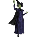 Disguise Women's Deluxe Wicked™ Elphaba Costume