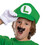 Disguise DG167309 Kids Classic Super Mario Bros.&#153; Luigi Elevated Costume Accessory Kit