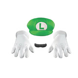 Disguise DG73791 Adult's Super Mario Bros.™ Luigi Accessory Kit