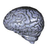 Morris Costumes DU-1022 Brain-Human Grey