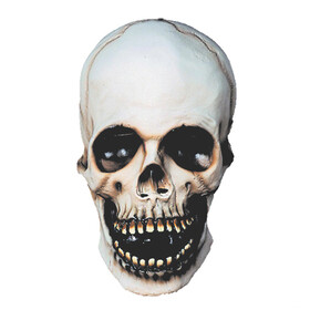 Morris Costumes DU350 Skull Halloween Mask for Adults
