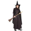 Forum Novelties FM-58421 Classic Witch Costume