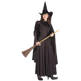 Forum Novelties FM-58421 Classic Witch Costume