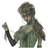 Forum Novelties FM65981 Women's Green & Gray Long Zombie Wig