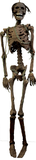 Forum Novelties FM-68353 Rotted Corpse 6 Ft