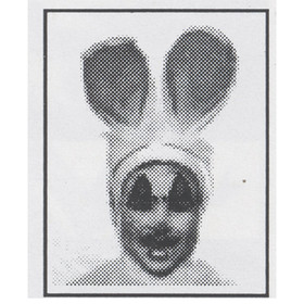 Morris Costumes FP261 Stencil Kit Bunny Costume Kit