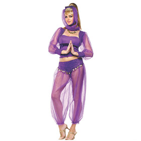 Fun World Women's Dreamy Genie Costume Medium