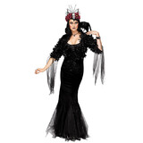 Morris Costumes Women's Raven Mistress Costume
