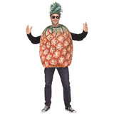 Morris Costumes FW135754 Adult's Pineapple Costume