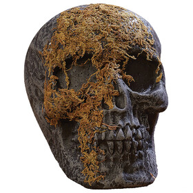 Fun World FW-91592J Skull Moss Covered With Jaw