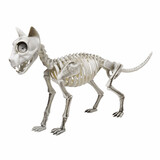 Fun World FW91605 20