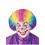 Fun World FW9236 Rainbow Clown Wig