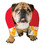 Rasta Imposta GC4455SM Chick Magnet Dog Costume