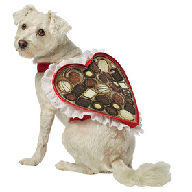 Rasta Imposta Chocolate Box Dog Costume