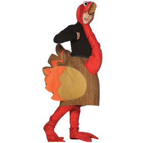Morris Costumes GC9131 Child Turkey Costume
