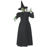 InCharacter Women's Witch Plus Size Costume