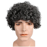 Morris Costumes LW243GY Men's Curly Wig