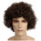 Morris Costumes LW243LTBN Men's Light Brown Curly Wig