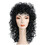 Morris Costumes LW336BK Women's Hollywood Wig