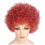 Lacey Wigs LW437AU Adult's Bargain Afro Wig