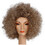Morris Costumes LW598LCBN Adult's Brown Curly Afro Wig