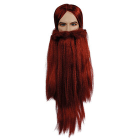 Lacey Wigs LW652 Wizard Wig & Beard Set