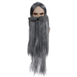 Lacey Wigs LW652GY Wizard Wig & Beard Set