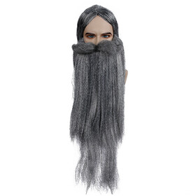 Lacey Wigs LW652GY Wizard Wig &amp; Beard Set