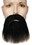 Lacey Wigs LW317BN Men's Beard &amp; Mustache Set