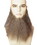 Lacey Wigs LW348BK Men's Human Hair 10" Long Full-Face Beard